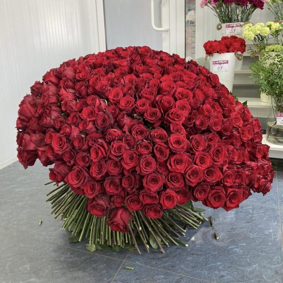Букеты из красных роз 80 см (Эквадор) [код  214524]