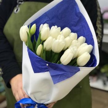 Белые тюльпаны 23 шт. [код  356301]
