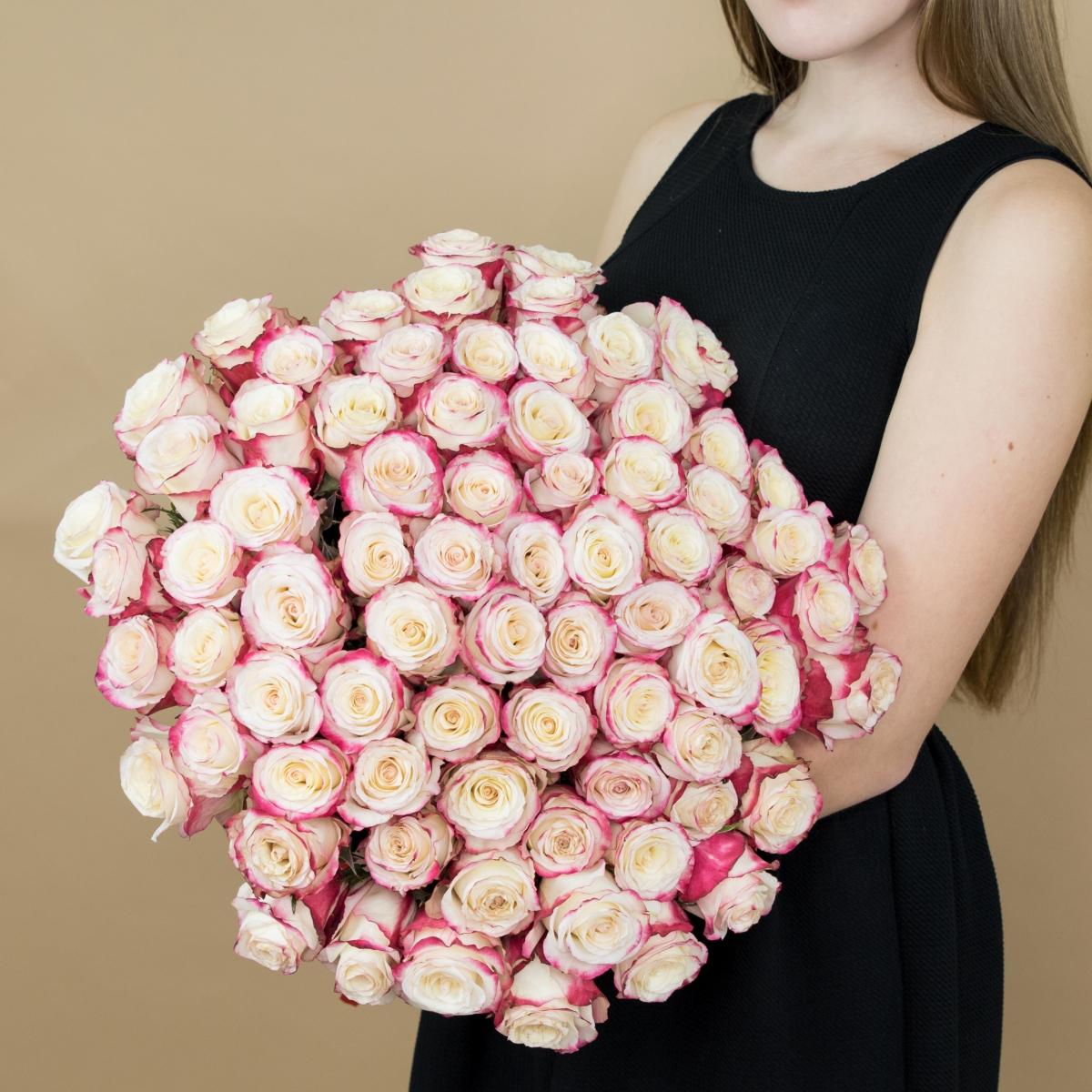 Розы красно-белые (40 см) Эквадор код товара   531