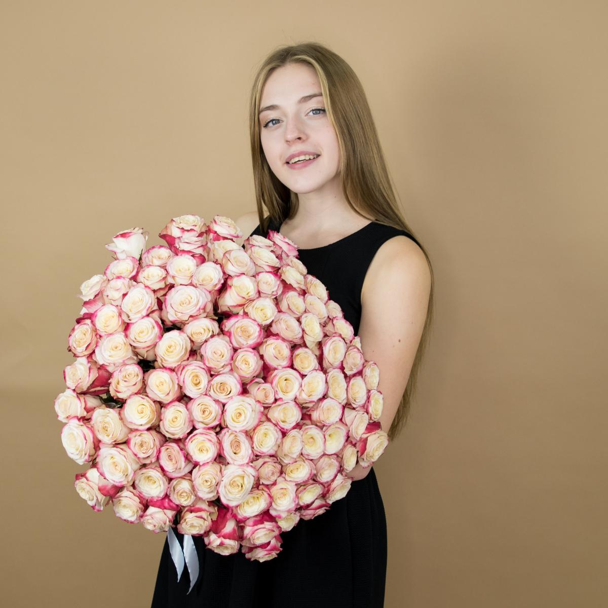 Розы красно-белые 75 шт 40 см (Эквадор) (код: 94341)