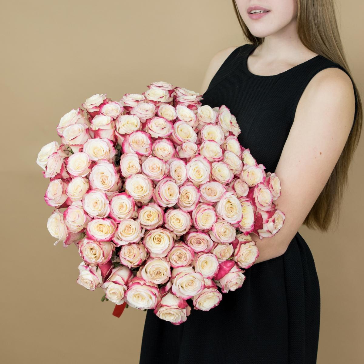 Розы красно-белые 101 шт. (40 см) Артикул  94518