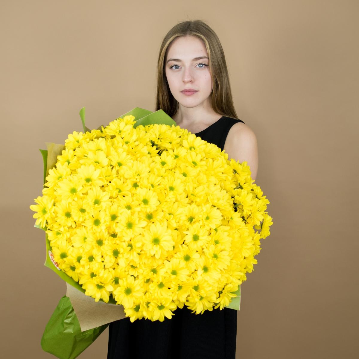 Хризантема кустовая желтая код   97881
