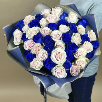 Белая и Синяя Роза 51шт 70см (Эквадор) (articul  121422)