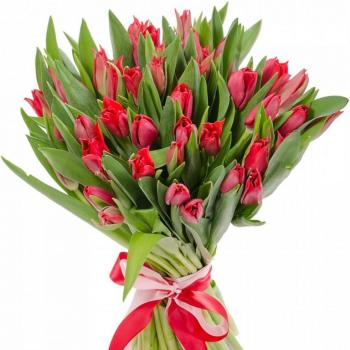 Красные тюльпаны 25 шт код: 153990